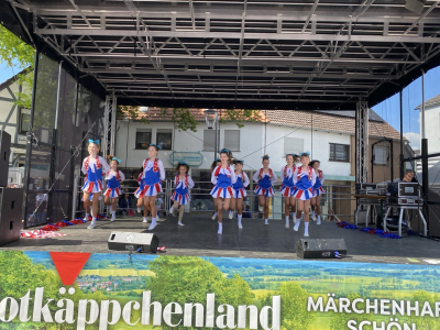 Himmelfahrtsmarkt 2024 15 20240510 1129534627