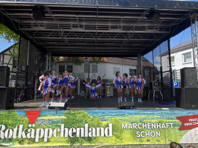Himmelfahrtsmarkt 2024 26 20240510 1150412873